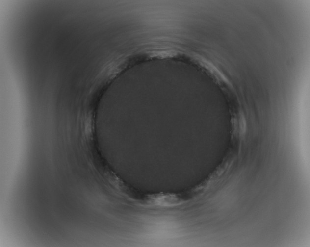 X0000113260517200910221042