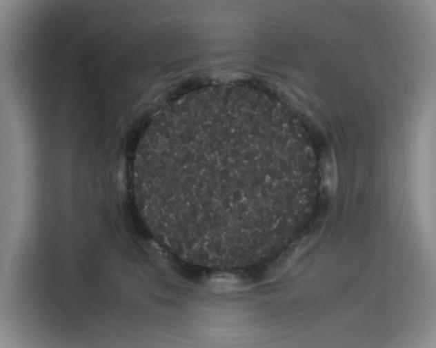 X0000113260519200910221042