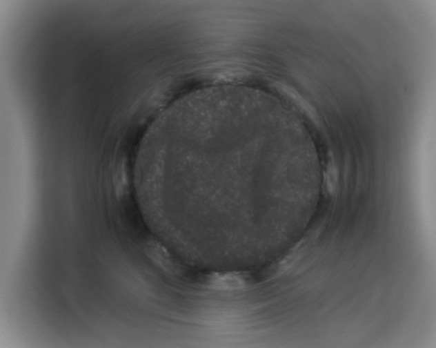 X0000113260520200910221042