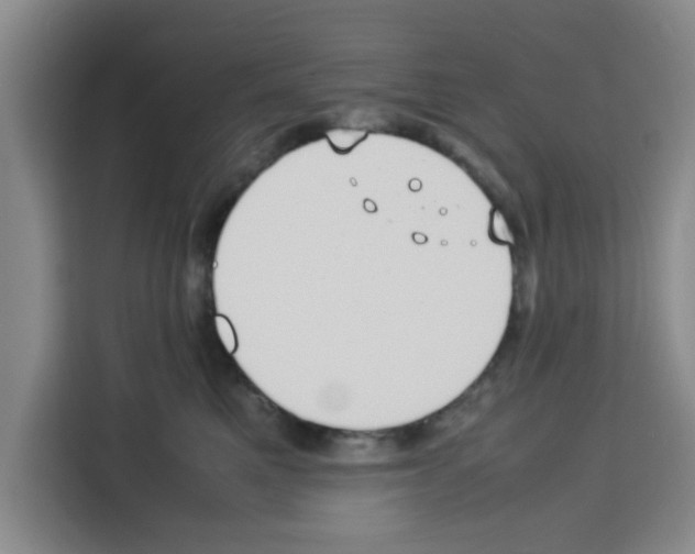 X0000113260521200910221042