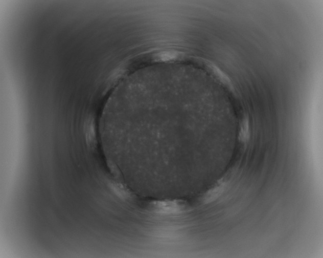 X0000113260524200910221041