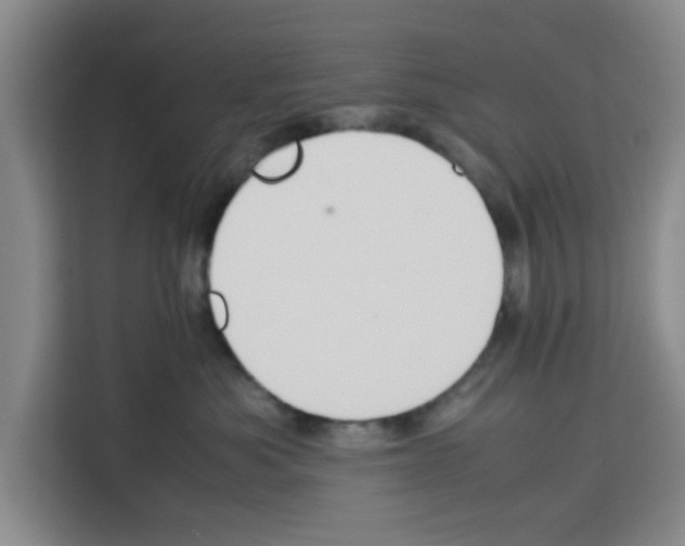X0000113260525200910221041