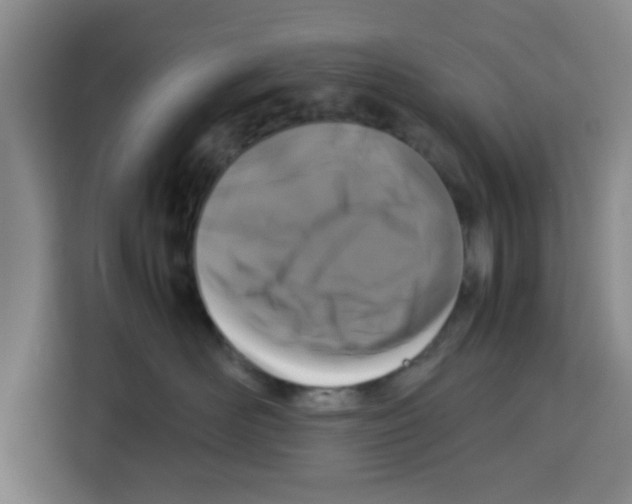 X0000113260526200910221041