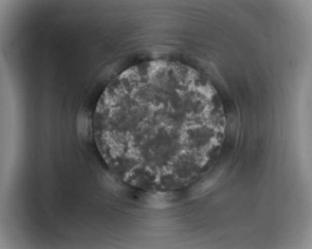 X0000113260527200910221041