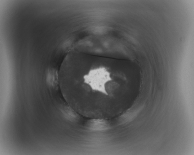 X0000113260528200910221041