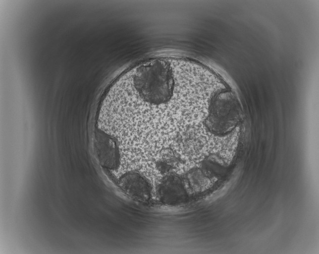X0000113260529200910221041