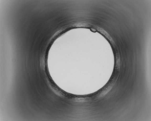 X0000113260530200910221041