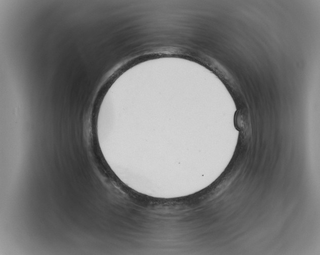 X0000113260532200910221041