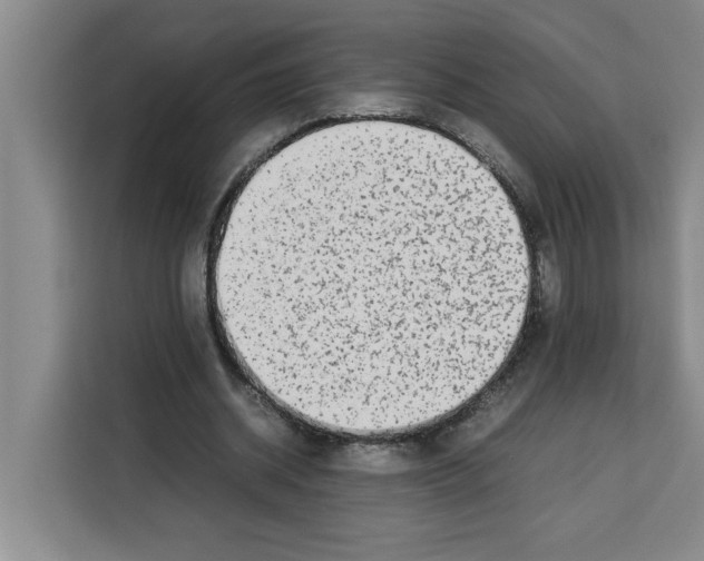 X0000113260534200910221041