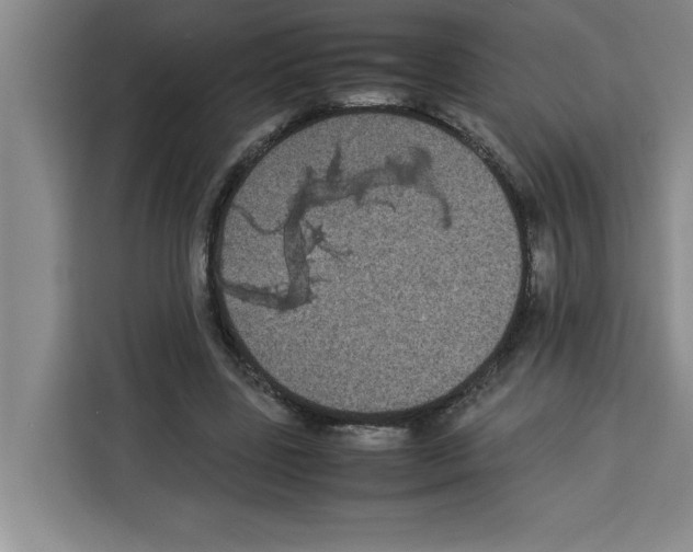 X0000113260539200910221041