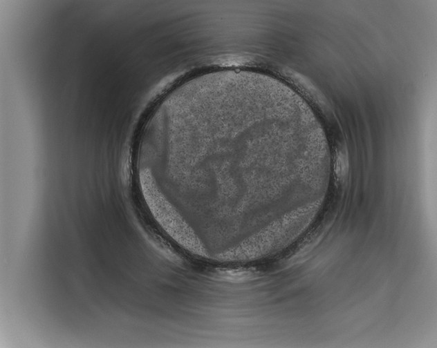 X0000113260540200910221041