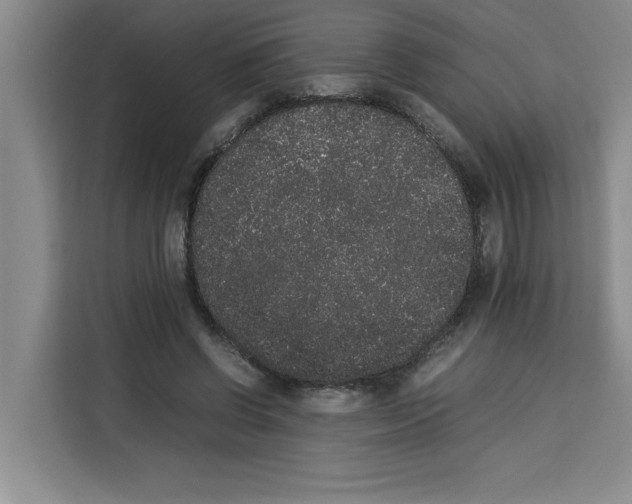 X0000113260542200910221041