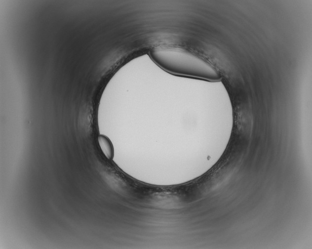 X0000113260544200910221041