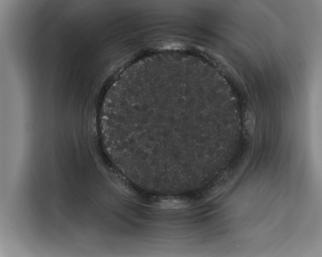 X0000113260547200910221041