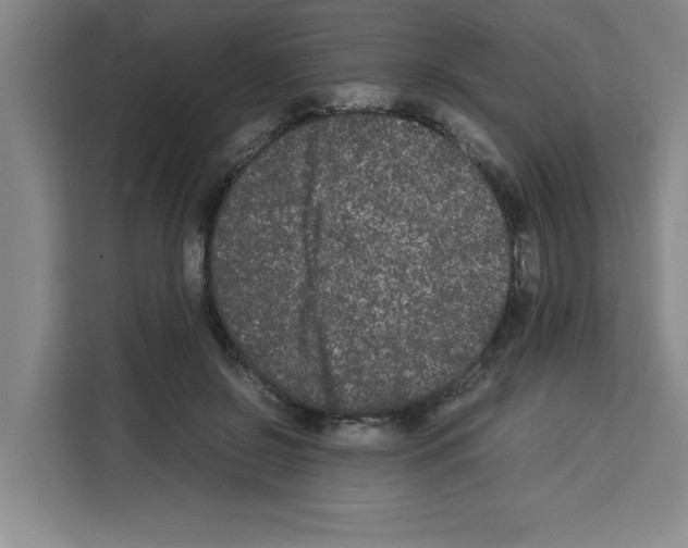 X0000113260550200910221041