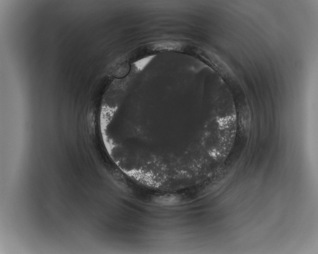 X0000113260551200910221041