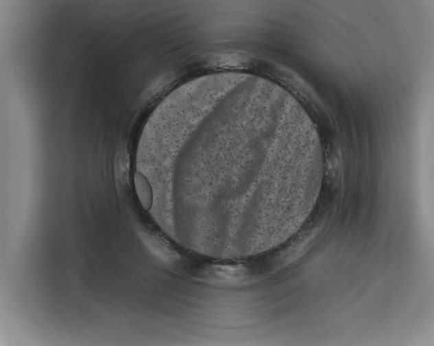 X0000113260552200910221041
