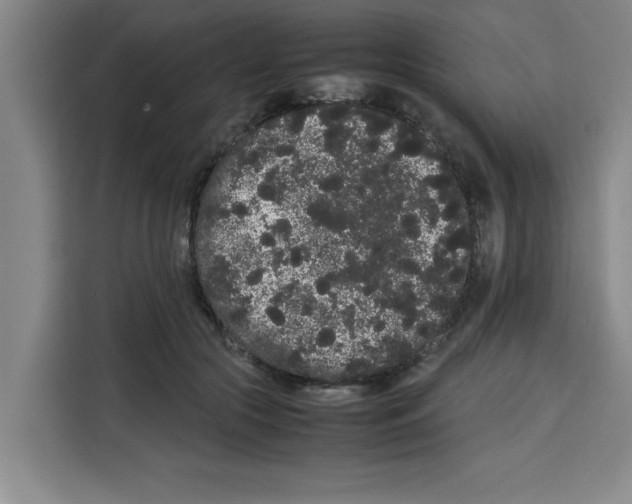 X0000113260553200910221041