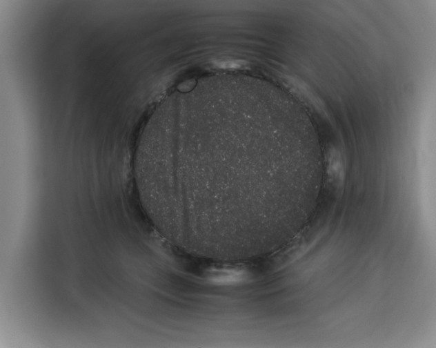 X0000113260559200910221041