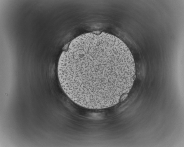X0000113260563200910221041