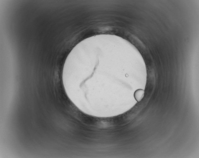 X0000113260565200910221041