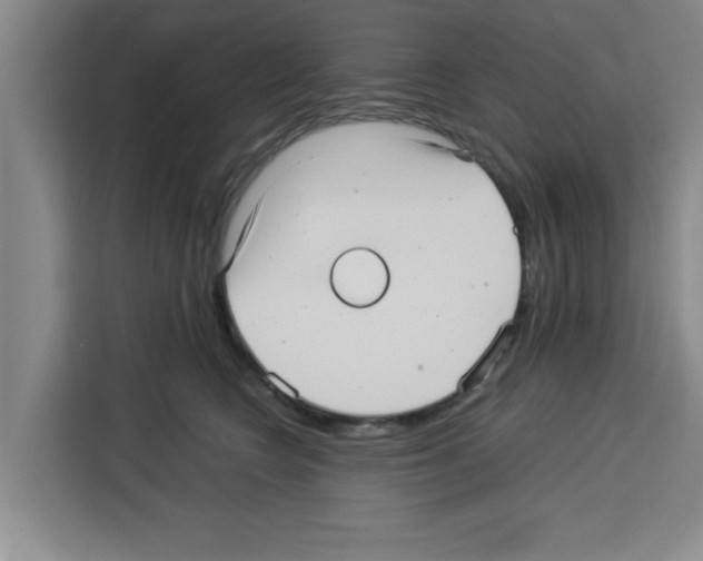 X0000113260566200910221041