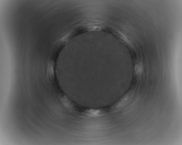 X0000113260570200910221041