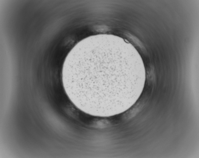 X0000113260572200910221041
