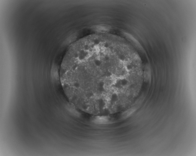 X0000113260573200910221041