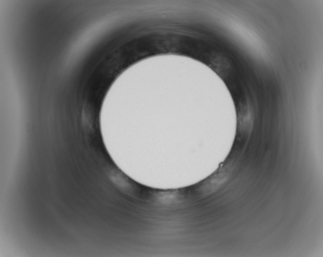 X0000113260574200910221041