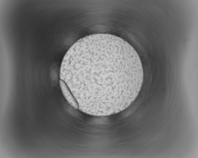 X0000113260576200910221041