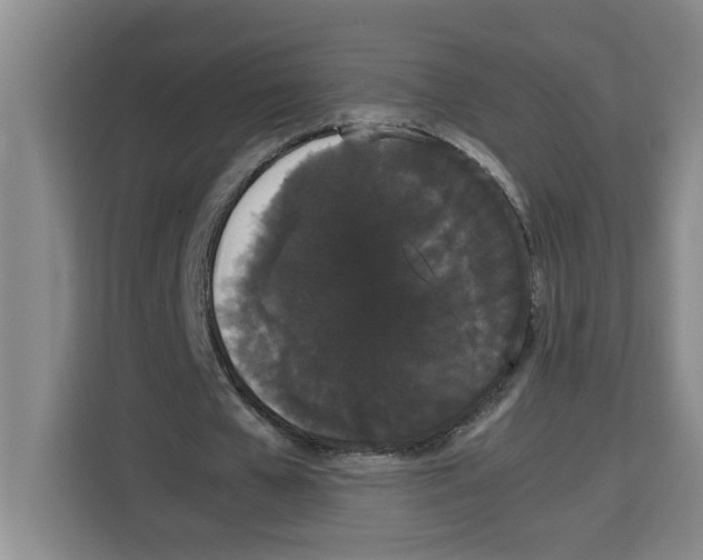 X0000113260577200910221041