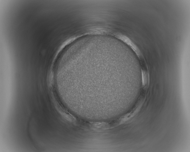 X0000113260579200910221041