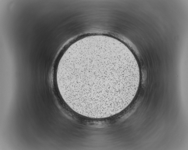 X0000113260580200910221041