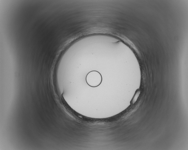 X0000113260581200910221041