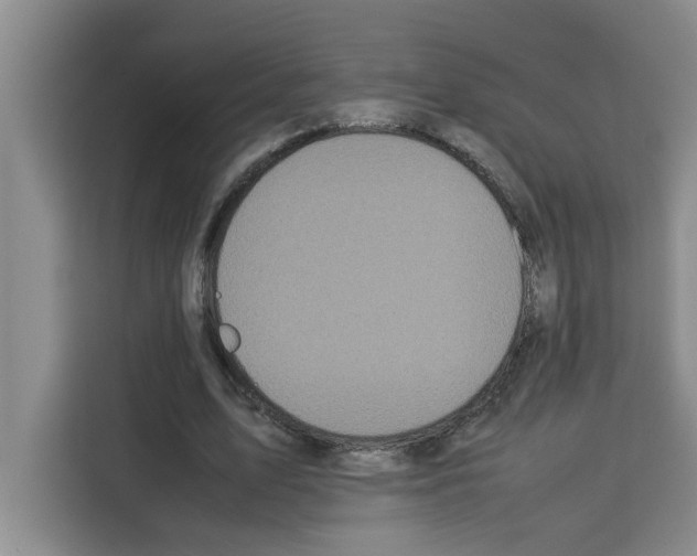 X0000113260583200910221041