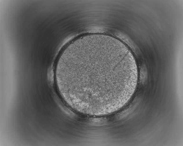 X0000113260584200910221041