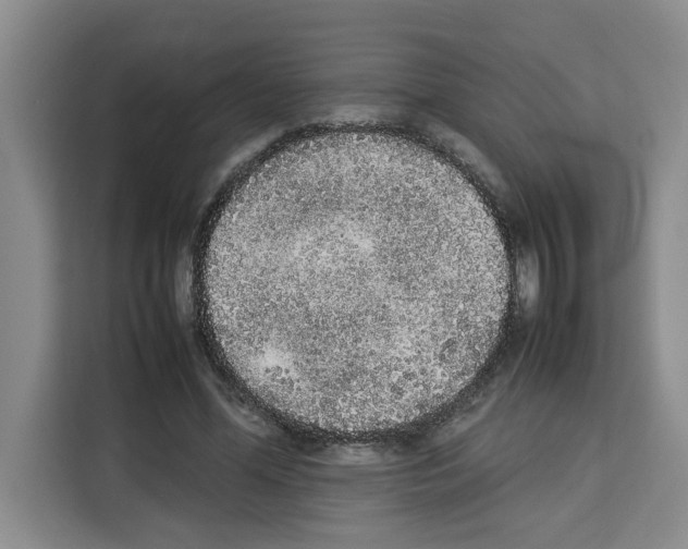 X0000113260588200910221041
