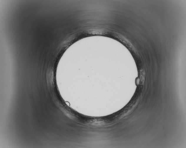 X0000113260589200910221041