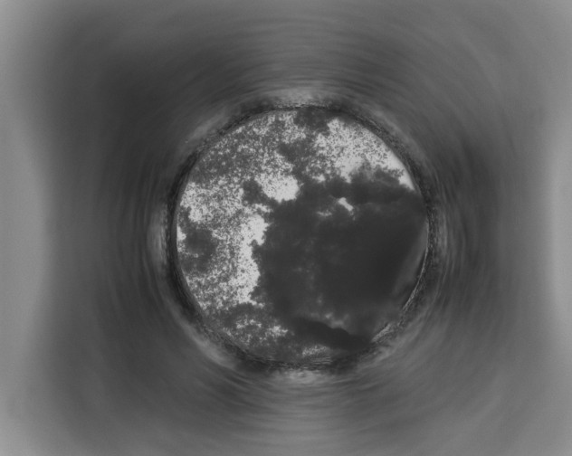 X0000113260590200910221041