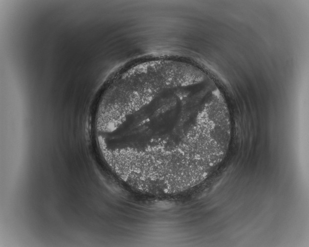 X0000113260592200910221041