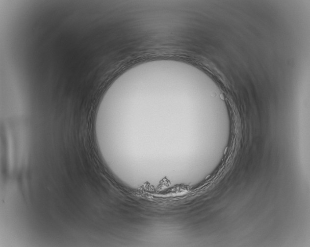 X0000113260593200910221041