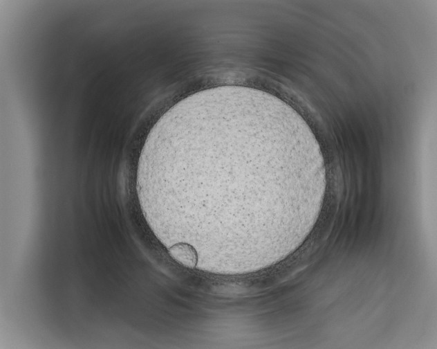 X0000113260594200910221041