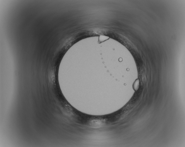 X0000113260595200910221041