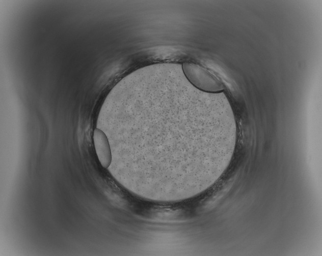 X0000113260597200910221041