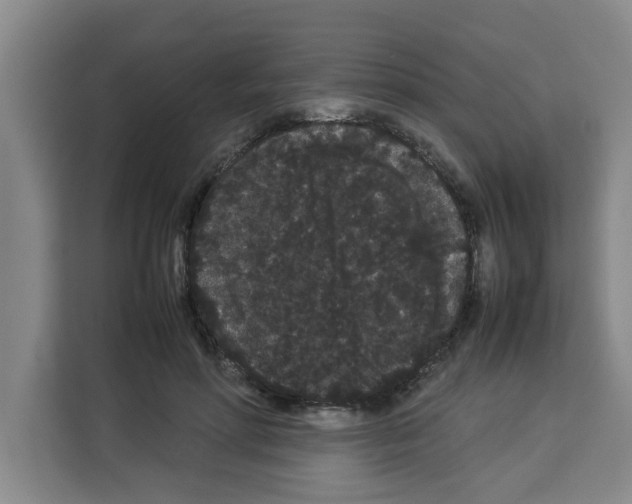 X0000113260598200910221041