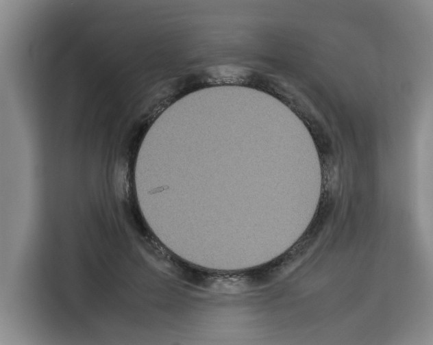 X0000113260599200910221040