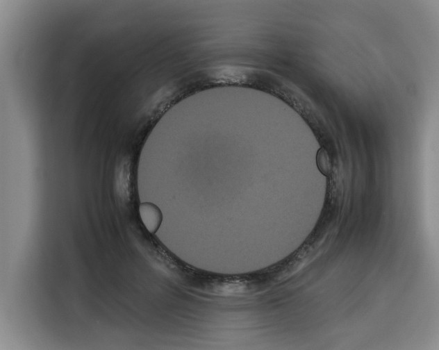 X0000113260600200910221040
