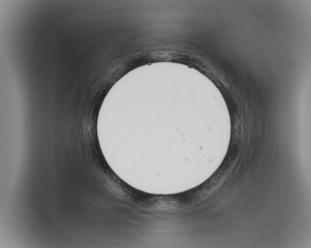 X0000113260601200910221040