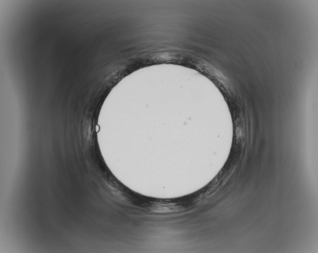 X0000113260605200910221040